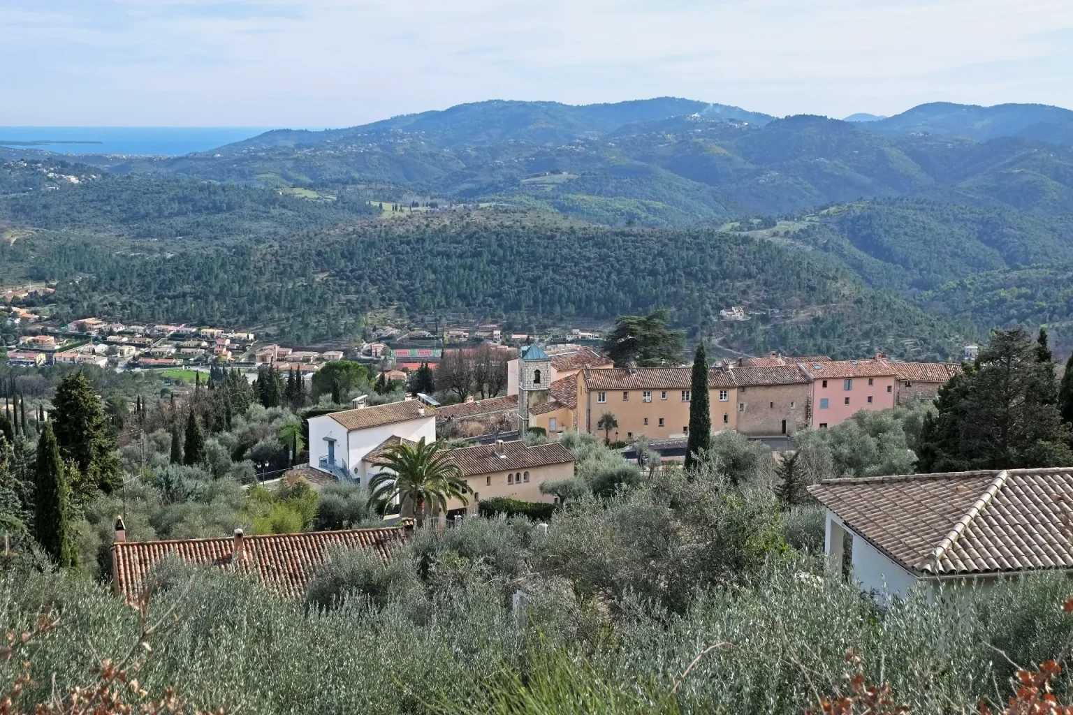 Le Tignet : maisons dans les oliviers et collines boisées