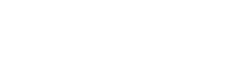 Domlys